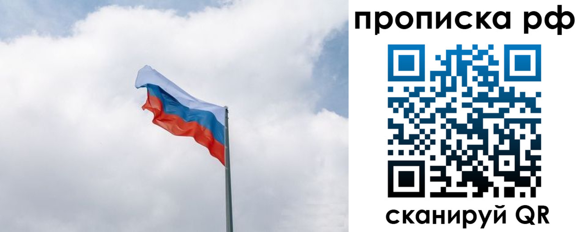 прописка гарантия в Волосово